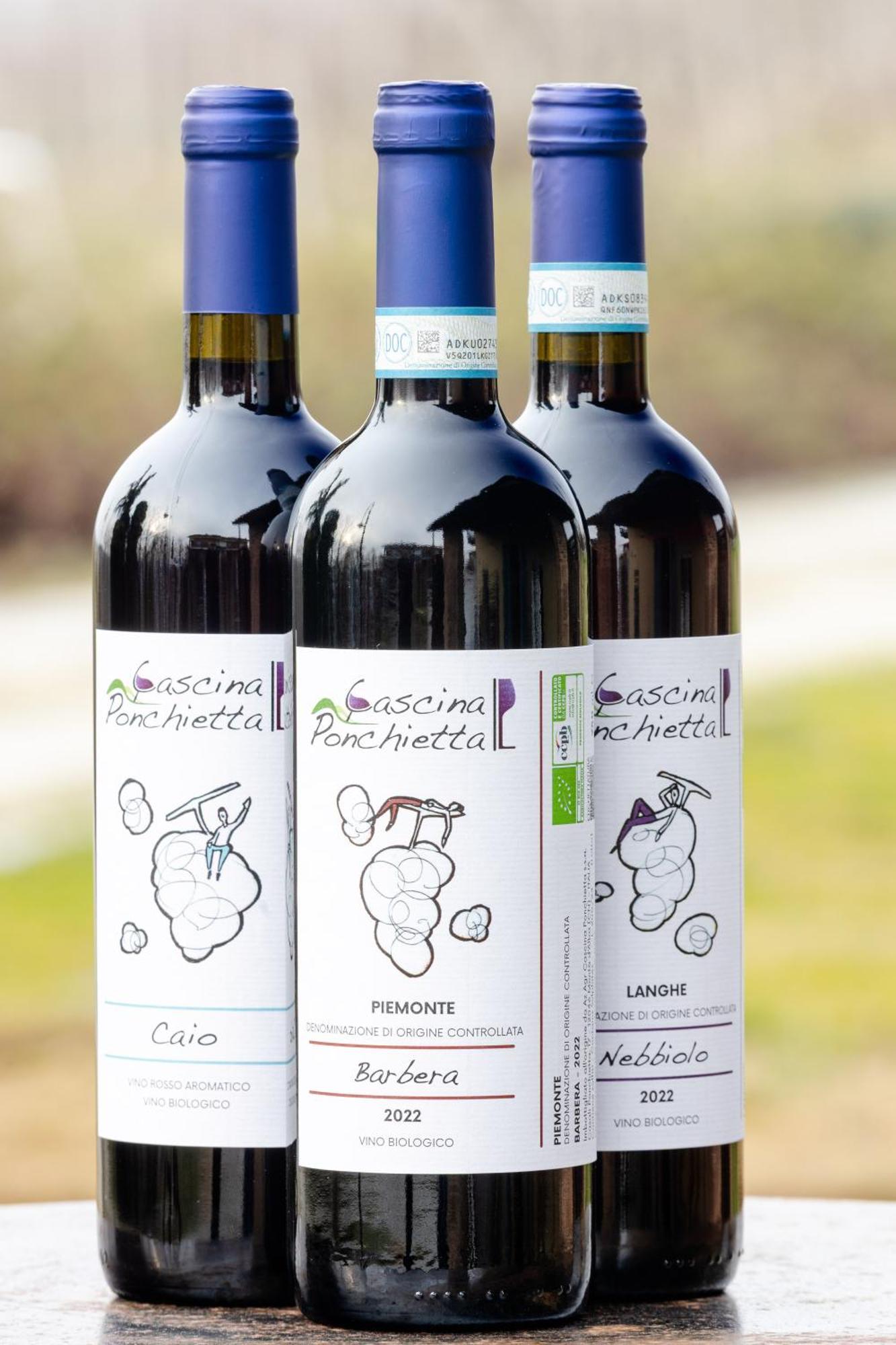 Agriturismo Cascina Ponchietta Monta Екстер'єр фото